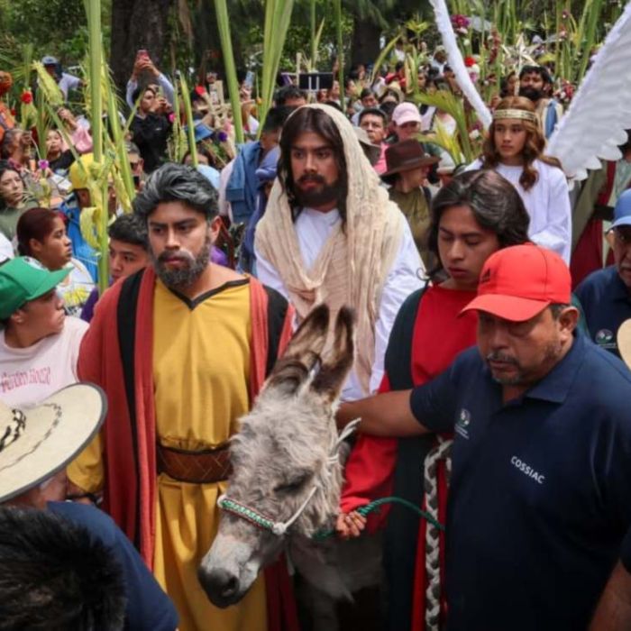 Amparos buscan protección para caballos y burros usados en el Viacrucis de Iztapalapa