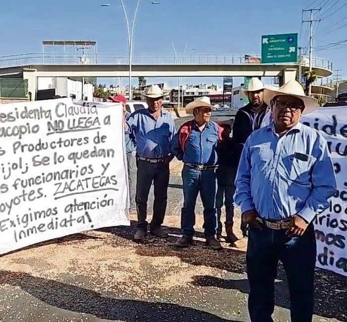 Autoridades amplían acopio de frijol en Zacatecas tras protestas; productores exigen venta al precio de garantía de 27 pesos/kg