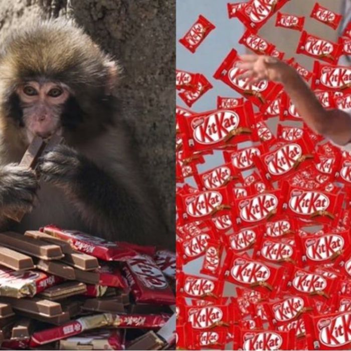 El gran atraco de KitKat: 12 toneladas de barras desaparecen en tránsito por Europa