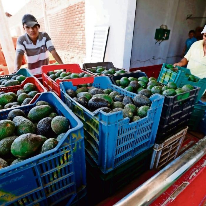Exportaciones mexicanas (sin petróleo) a EU suman 85,194 mdd en enero‑febrero de 2026; suben 12.1%