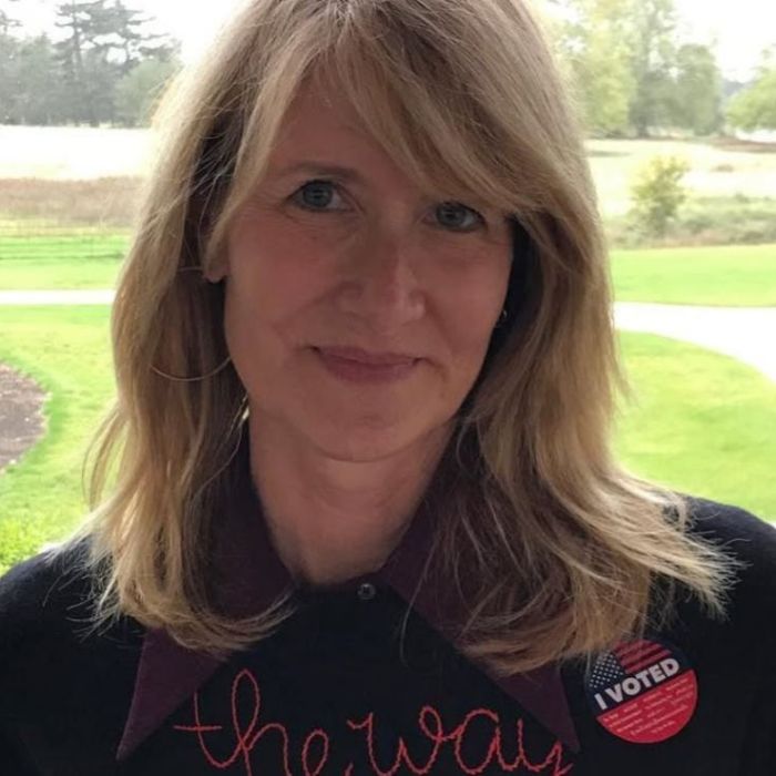 Laura Dern encabezará una miniserie sobre la investigación del caso Jeffrey Epstein