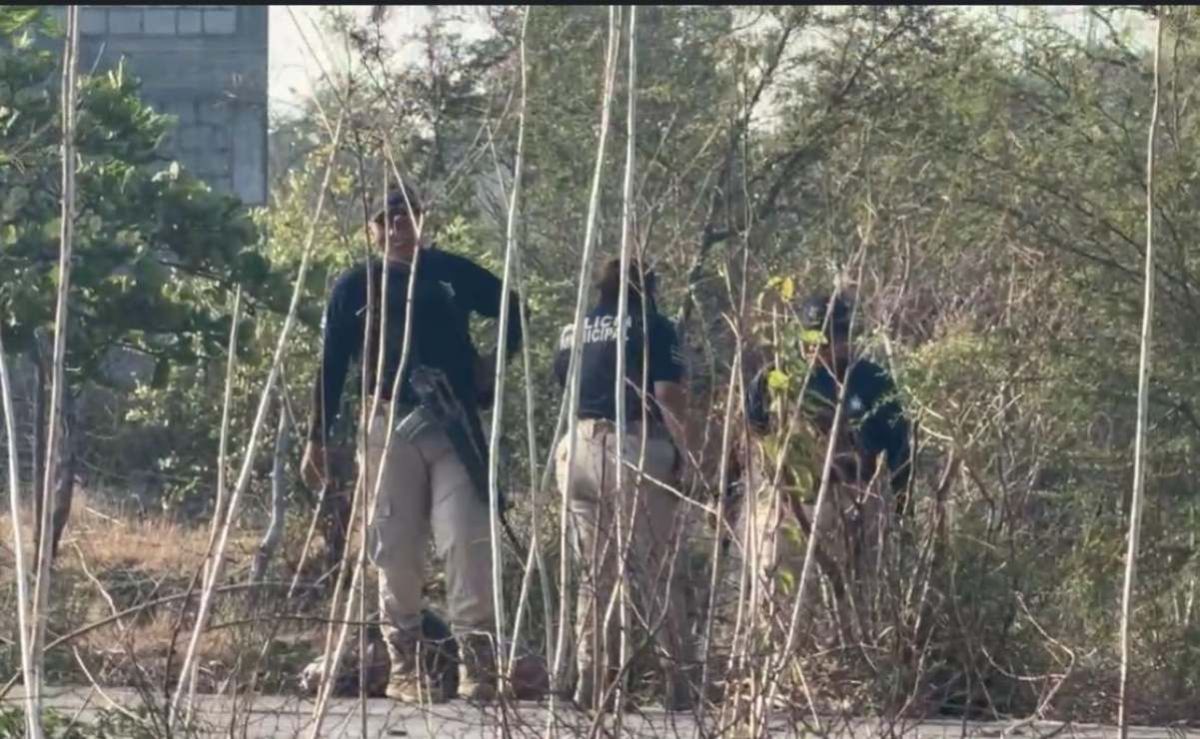 no-se-corrobora-en-fuentes-publicas-el-hallazgo-de-un-adolescente-calcinado-en-guiexhuba-juchitan