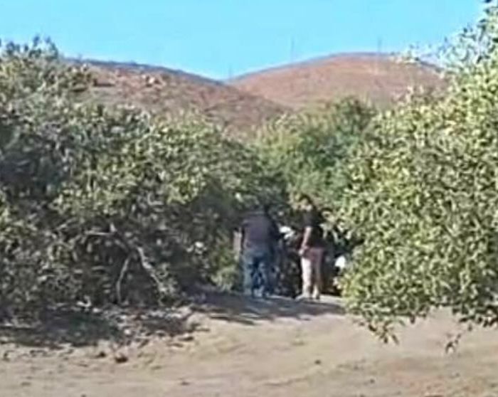 No se verifica el hallazgo de un hombre sin vida en la playa Eréndira, La Paz