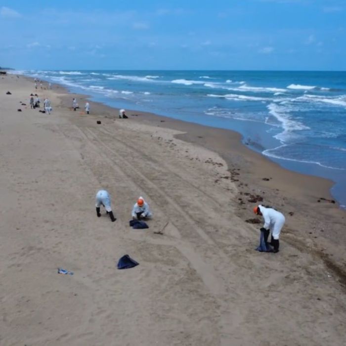 Pemex destina 15 millones de pesos para apoyar a pescadores afectados por derrame en el sur de Veracruz