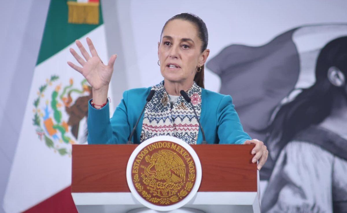 sheinbaum-plantea-apertura-gradual-de-la-frontera-para-exportacion-de-ganado-tras-avances-contra-el-gusano-barrenador