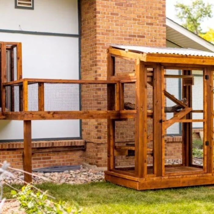 Catio: qué es, cómo se diseña y sus beneficios para los gatos