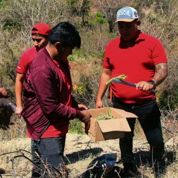 Engrillados de Atlixco: cadenas, espinas y una penitencia que se arrastra por décadas