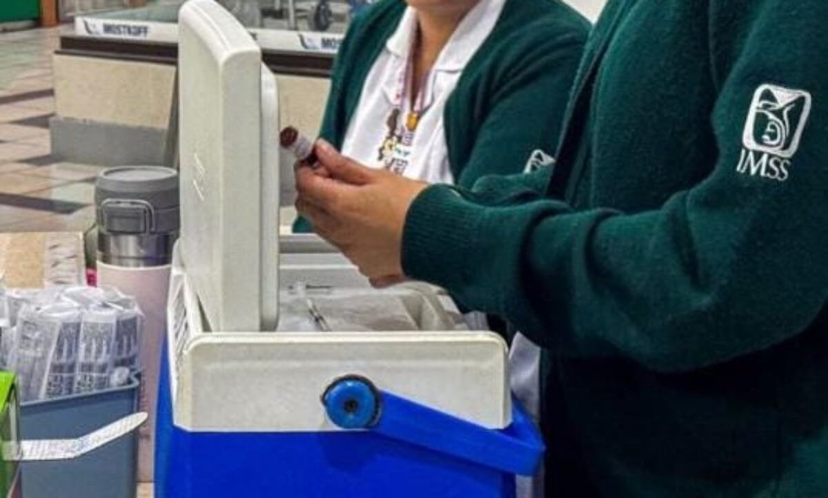 farmacias-nacionales-inhabilitada-por-presentar-informacion-falsa-en-tramite-ante-el-imss-reportes-senalan-posible-sancion-a-corporativo-dijech