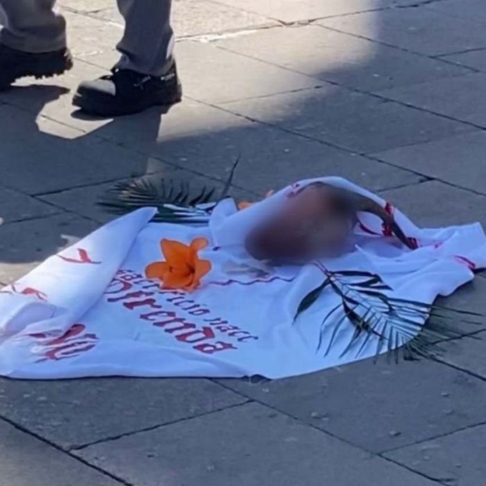 No se confirma aparición de una cabeza de chivo en el atrio del Santuario de Guadalupe en San Luis Potosí