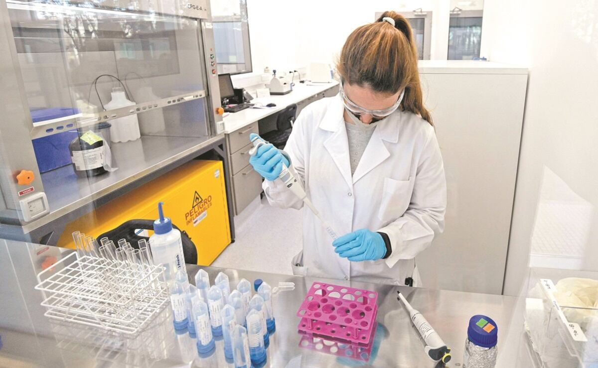 pocas-mujeres-en-stem-diagnostico-del-imco-y-movimiento-stem-sobre-participacion-y-salarios