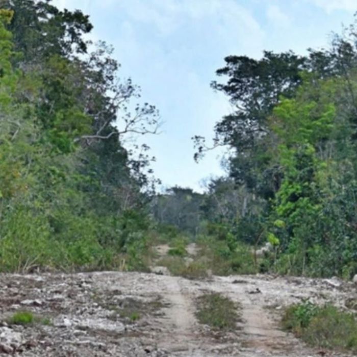Sélvame MX denuncia que Sedena retoma obras en zona clausurada de Tulum y alerta sobre riesgo al sistema Sac Actun