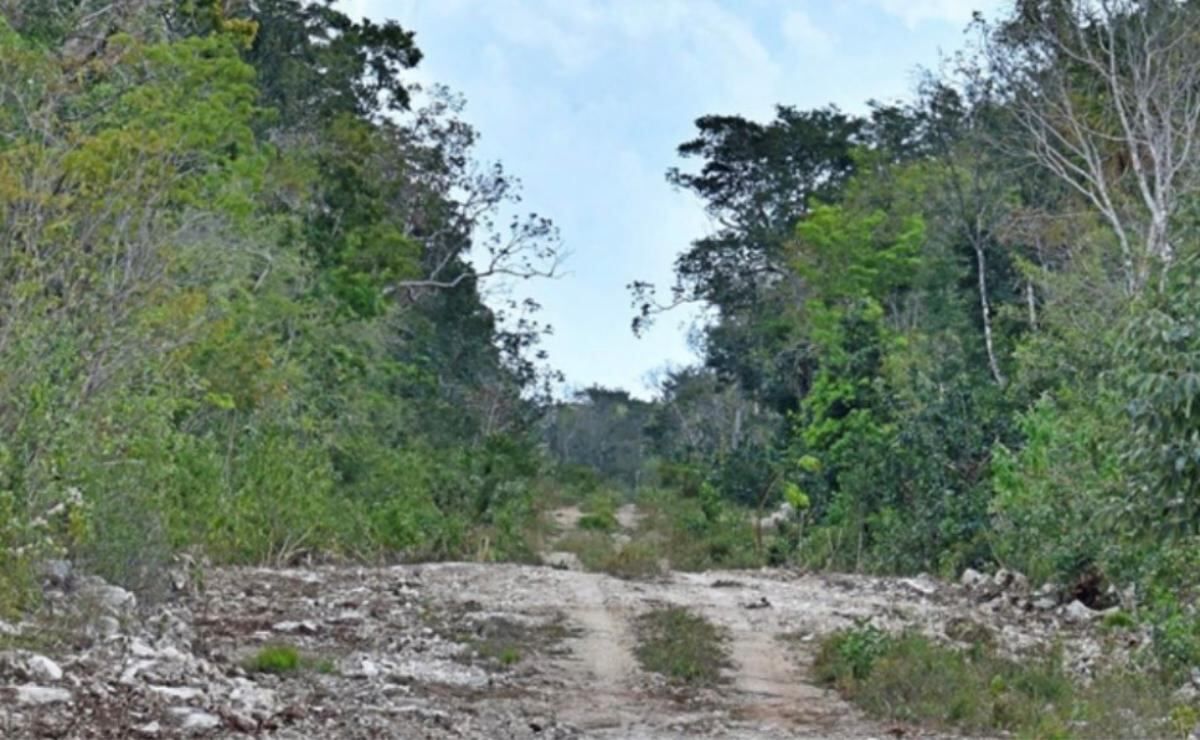 selvame-mx-denuncia-que-sedena-retoma-obras-en-zona-clausurada-de-tulum-y-alerta-sobre-riesgo-al-sistema-sac-actun