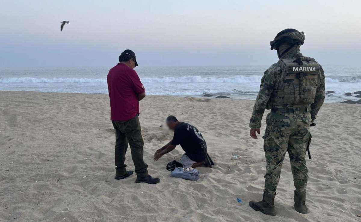 semar-y-profepa-aseguran-huevos-de-tortuga-golfina-en-playa-la-escobilla-durante-la-temporada-2025-2026