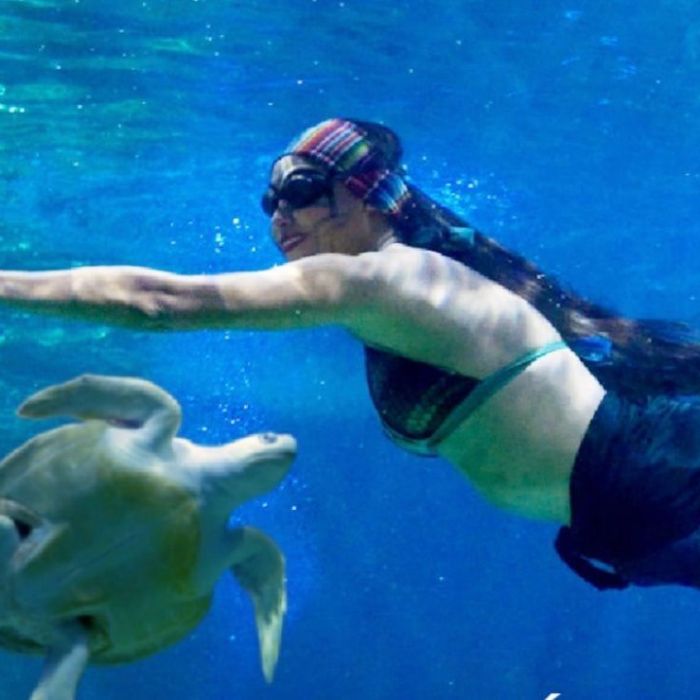 Sirenas y tritones: el espectáculo inmersivo del Acuario Inbursa para Semana Santa 2026