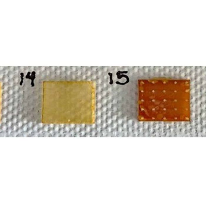 UNAM desarrolla parche transdérmico biodegradable con microagujas de zeína para administrar amlodipino