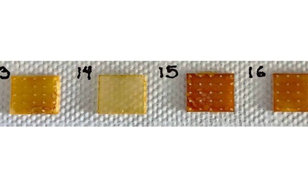 unam-desarrolla-parche-transdermico-biodegradable-con-microagujas-de-zeina-para-administrar-amlodipino