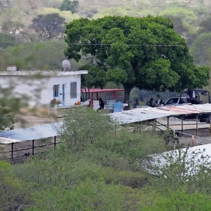 Asesinan a 10 personas en un rancho de Tehuitzingo, Puebla; Fiscalía investiga posible conflicto familiar