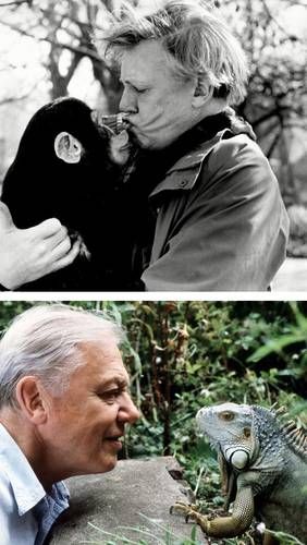david-attenborough-celebra-su-centenario-el-8-de-mayo-de-2026