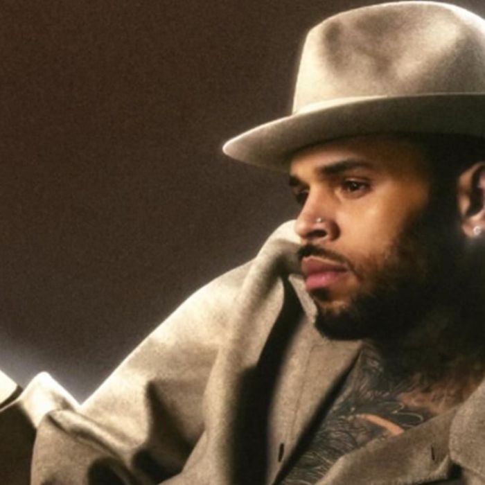 Disparos frente a la casa de Chris Brown en Tarzana; un hombre fue arrestado