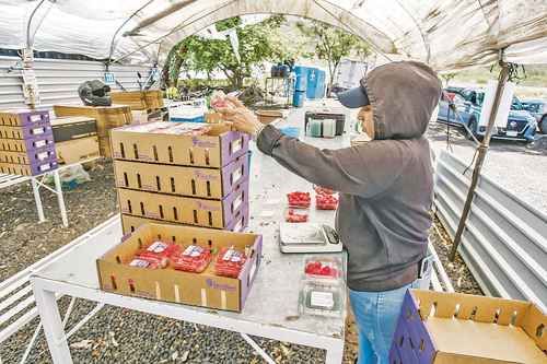 exportaciones-agroalimentarias-a-la-ue-crecieron-55-entre-2024-y-2025-empresas-alertan-falta-de-logistica