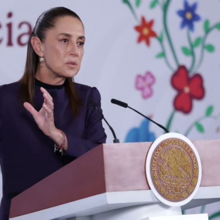 Sheinbaum: fue decisión de Gerardo Mérida y Enrique Díaz entregarse a EU, dice la presidenta