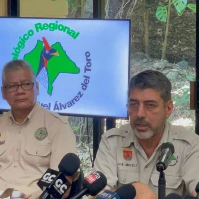 Detectan dos casos de influenza aviar en el ZooMAT de Tuxtla; refuerzan medidas sanitarias