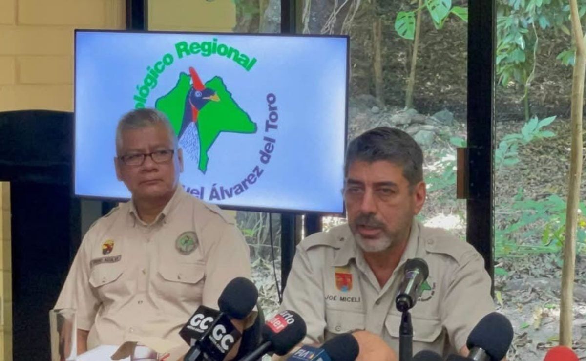 detectan-dos-casos-de-influenza-aviar-en-el-zoomat-de-tuxtla-refuerzan-medidas-sanitarias