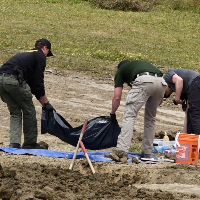 Hallan al menos 117 perros muertos en refugio “no‑kill” de California