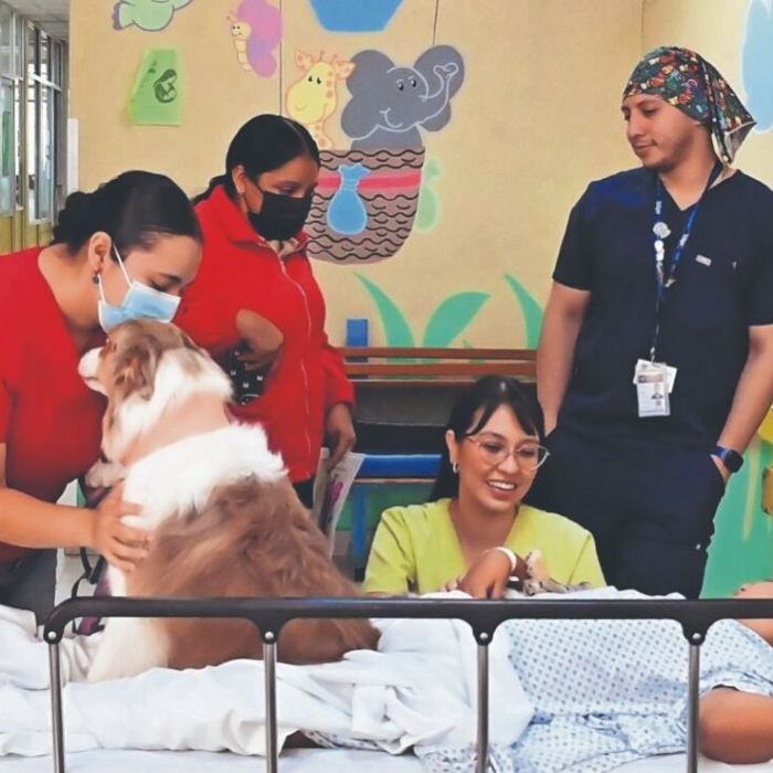 Lomitos disminuyen el estrés en niños hospitalizados: programa del Instituto Nacional de Pediatría supera 2,700 atenciones