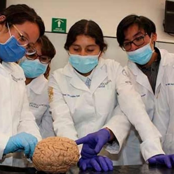 Mujeres son mayoría en Medicina, pero siguen subrepresentadas en cargos directivos
