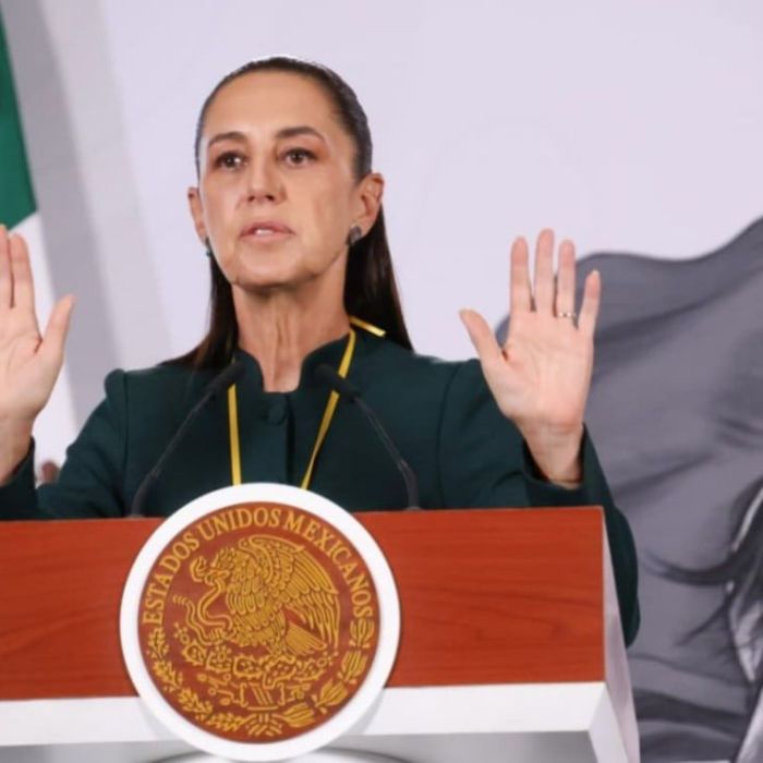 Video en el que exdirector de Pemex presuntamente agrede a su esposa provoca investigación en Morelos