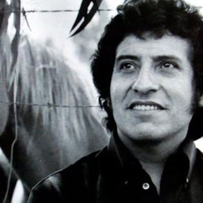 Capturan en Los Lagos a exmilitar condenado por la muerte de Víctor Jara