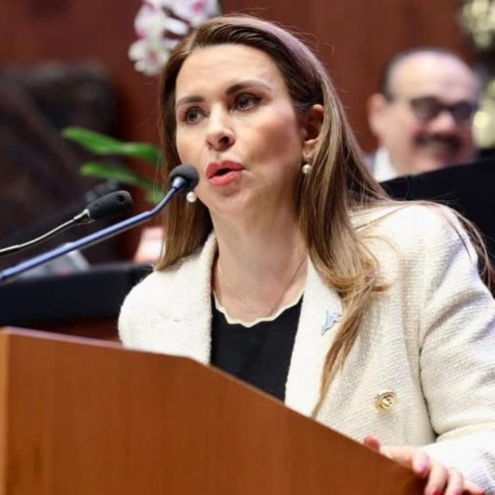 Carolina Viggiano pide reformar las fiscalías y denuncia falta de recursos y perspectiva de género