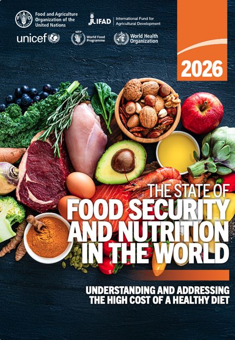 El hambre mundial bajó a 645 millones en 2025, pero la meta de 2030 sigue fuera de alcance