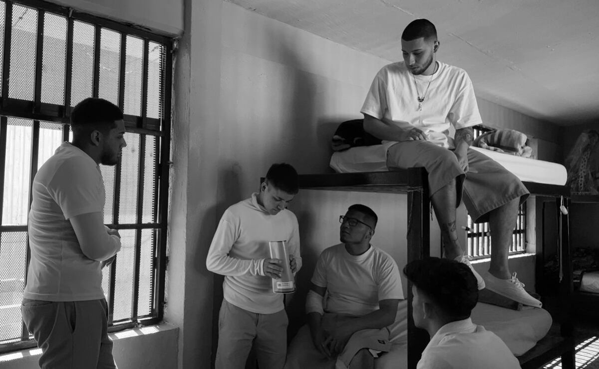 fernando-rebeil-lleva-pario-la-cochi-al-festival-internacional-de-cine-de-guanajuato