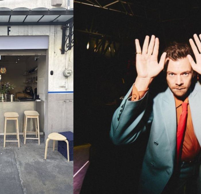 Harry Styles visita Taquería Orinoco y HEMA durante su estancia en CDMX