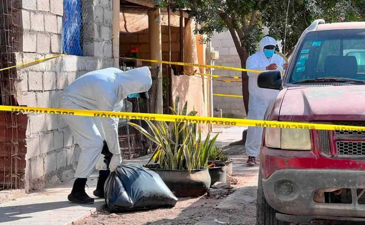 investigan-envenenamiento-de-13-perros-en-comondu-dos-mujeres-intoxicadas