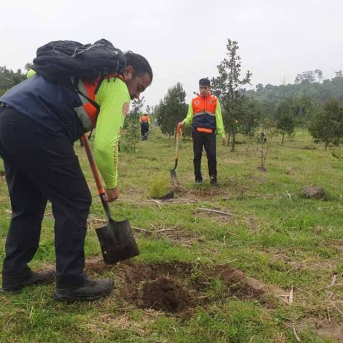 Iztapalapa anuncia plantación de 20,000 árboles para recuperar 50 hectáreas del Cerro de la Estrella