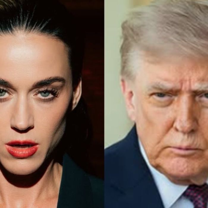 Katy Perry critica a la Casa Blanca por usar “Firework” en un video sobre ataques militares