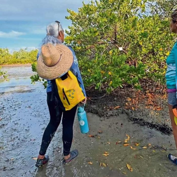 Las Guardianas del Conchalito: cómo 12 mujeres restauran el manglar de La Paz