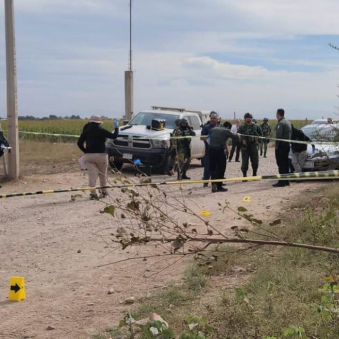 Levantamiento forense en El Roble, Elota: vicefiscalía confirma cuatro restos óseos localizados en predio rural