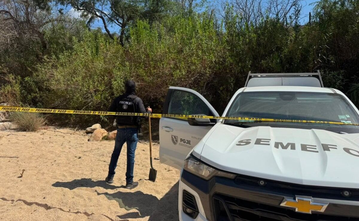 localizan-fosas-clandestinas-en-san-jose-del-cabo-reportan-al-menos-cuatro-cuerpos