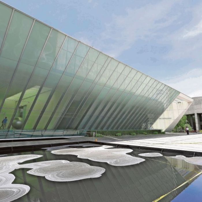 MUAC modifica su esquema curatorial y crea la Subdirección Curatorial