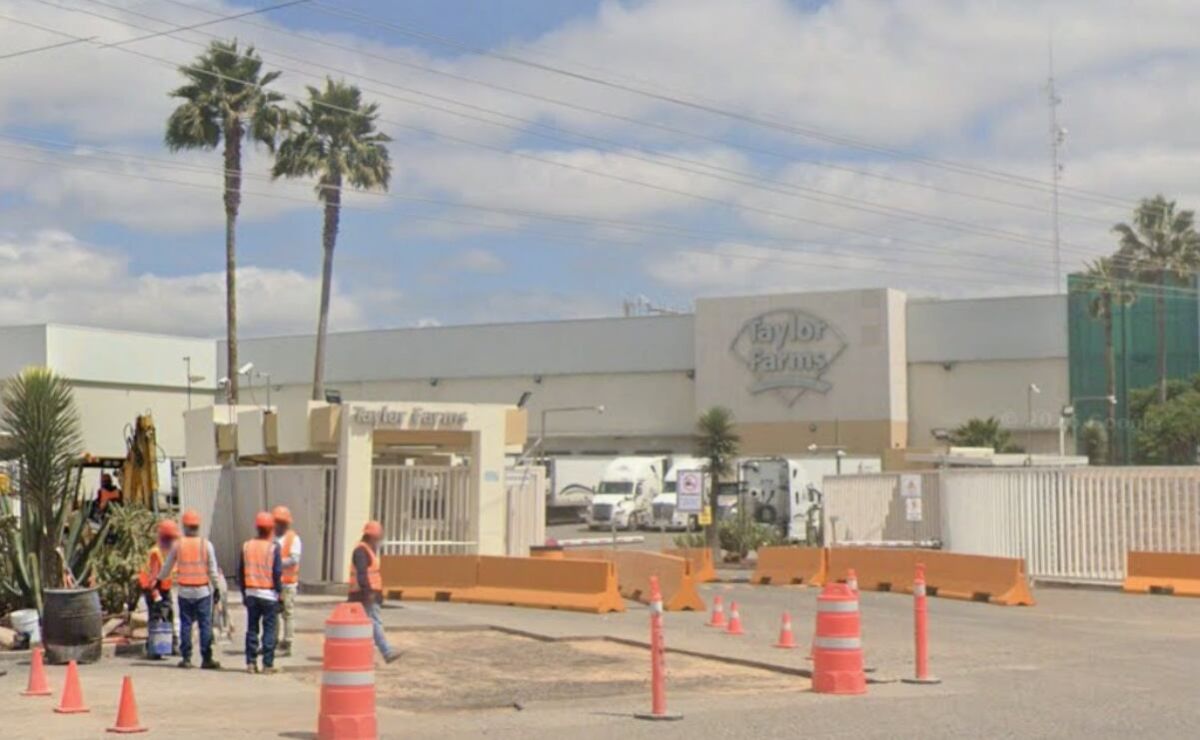 planta-de-taylor-farms-en-doctor-mora-suspende-operaciones-temporalmente-por-revisiones-sanitarias
