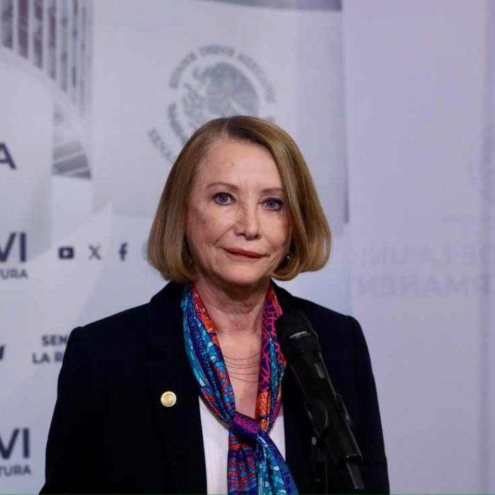 Qué propone el proyecto de reglamento de la Comisión Permanente y cómo avanzará su revisión