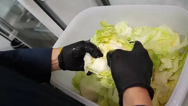 Sectores piden aumentar presupuesto para sanidad agroalimentaria tras caso de lechuga vinculada a ciclospora
