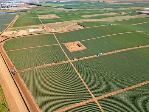 Superávit agroalimentario cae 16.2% en enero‑mayo de 2026