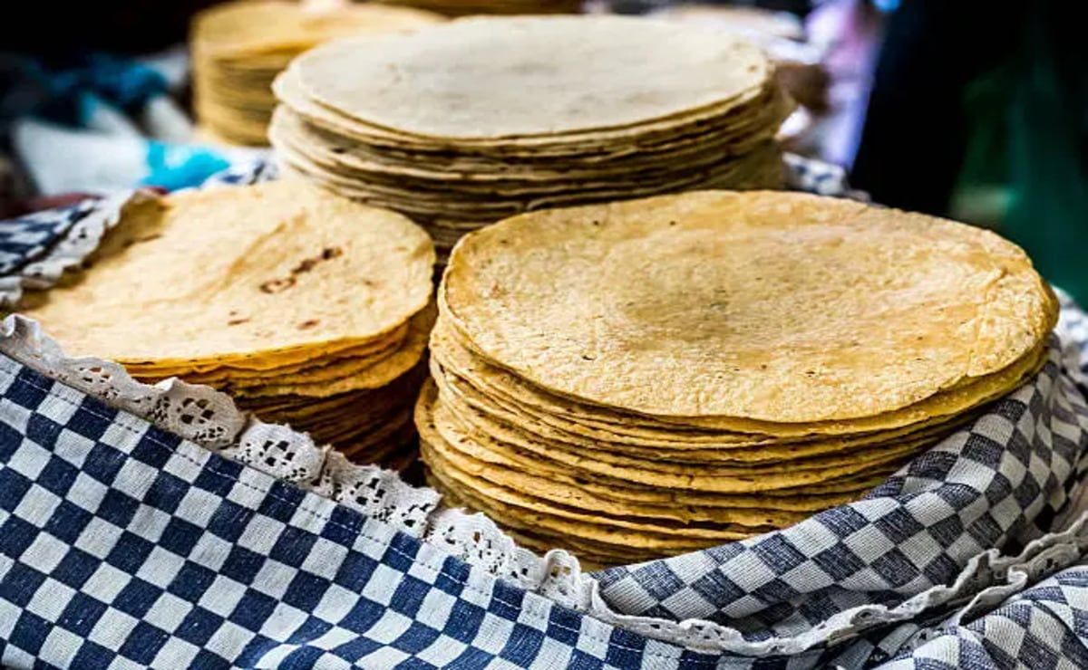 tortilleros-amenazan-con-romper-el-acuerdo-nacional-maiz-tortilla-por-incumplimientos