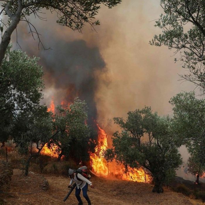 Tres bomberos mueren en Grecia durante combate a incendios; Europa sigue en alerta por ola de calor
