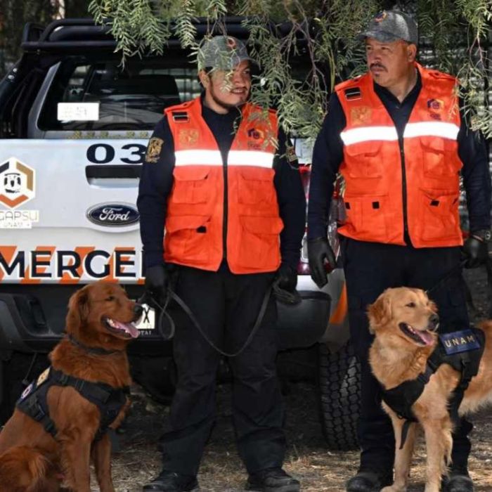 UNAM incorpora dos caninos detectores de armas y explosivos: Cuauhtli y Balam